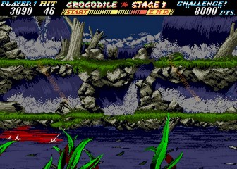 image de The First Funky Fighter